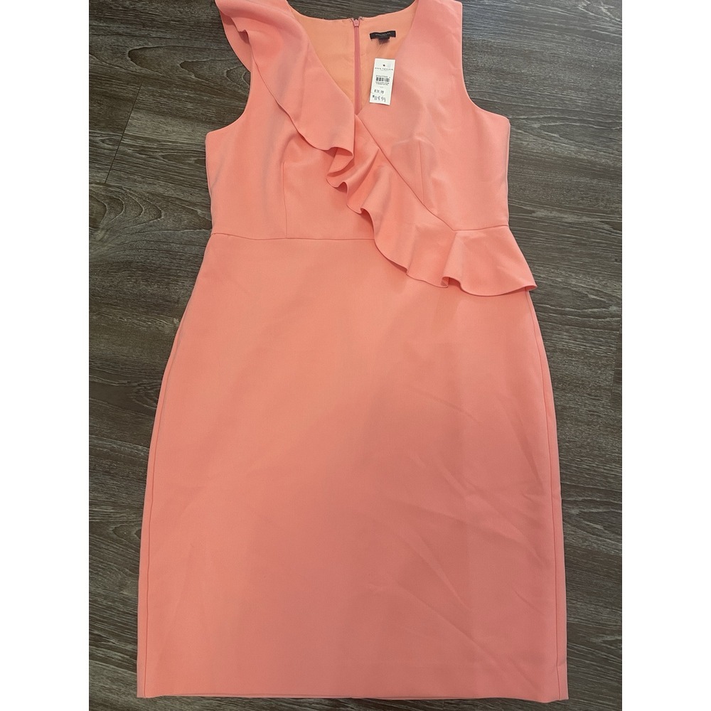 Ann Taylor Factory  Blush Leaf Petal Dress NWT‎ 10
